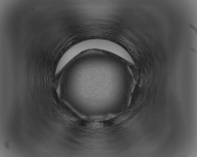 X0000092290421200710051205