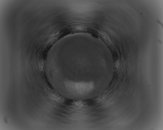 X0000092290423200710051205