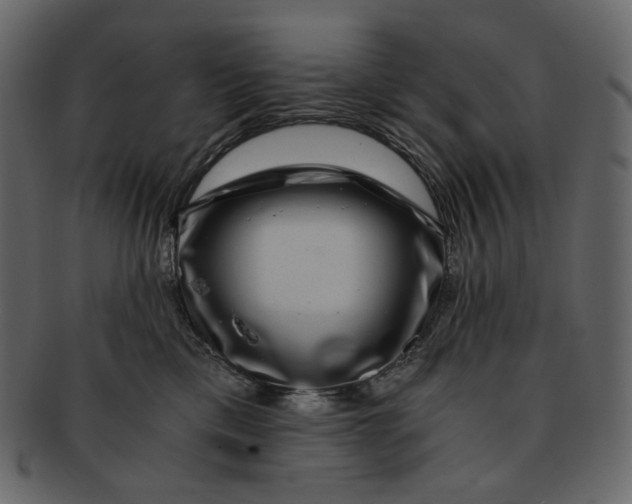 X0000092290425200710051205