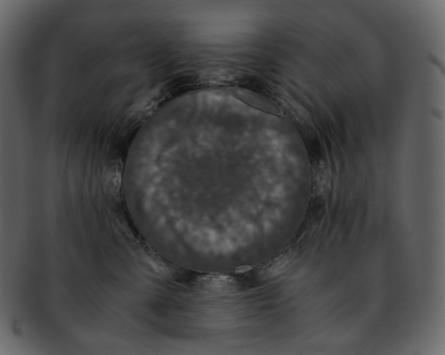 X0000092290427200710051205