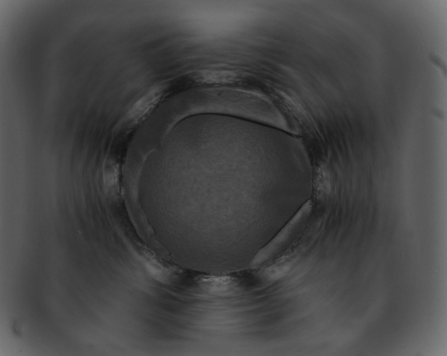 X0000092290428200710051205