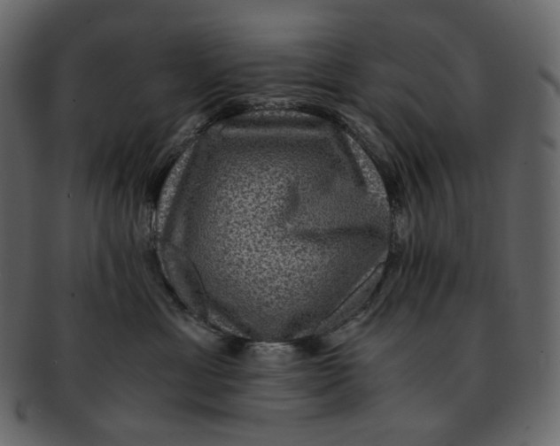 X0000092290429200710051205