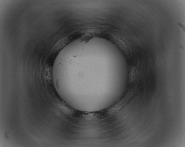 X0000092290430200710051205