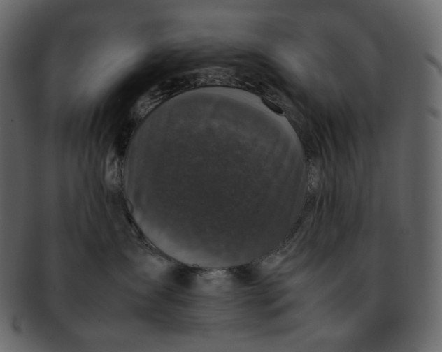 X0000092290431200710051205