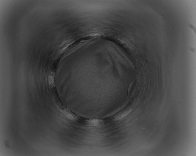 X0000092290432200710051205