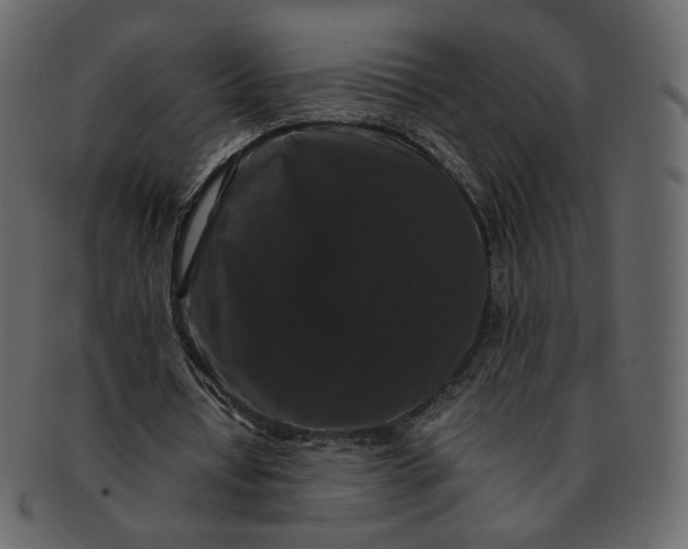 X0000092290434200710051204