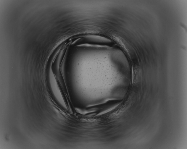 X0000092290435200710051204