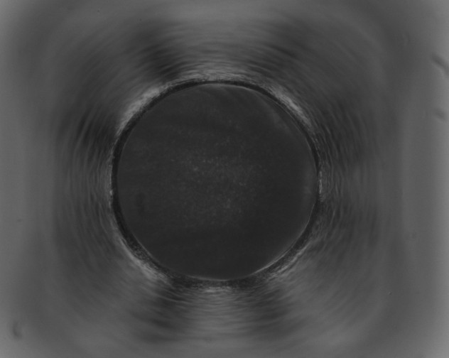 X0000092290438200710051204