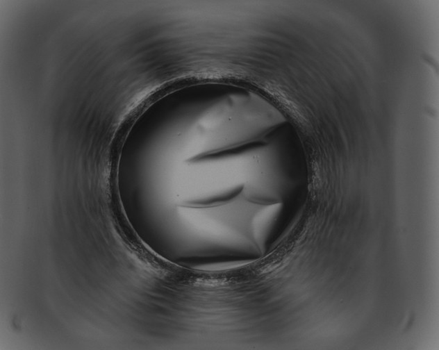 X0000092290440200710051204