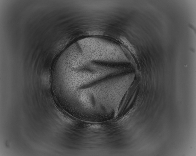 X0000092290441200710051204