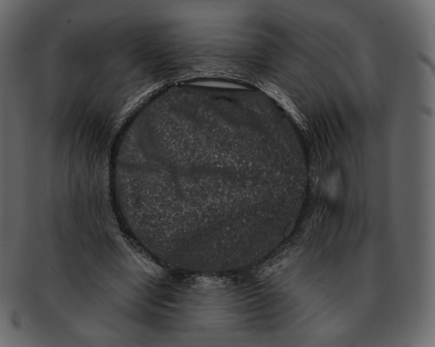 X0000092290442200710051205