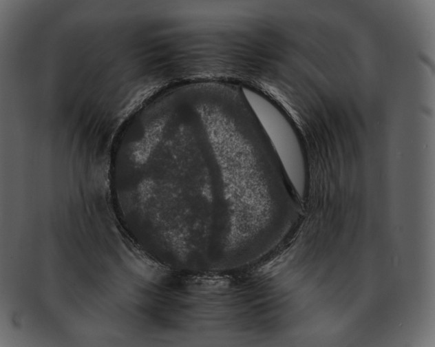 X0000092290443200710051205