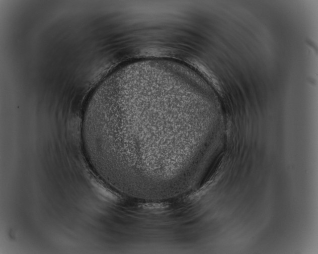 X0000092290445200710051205