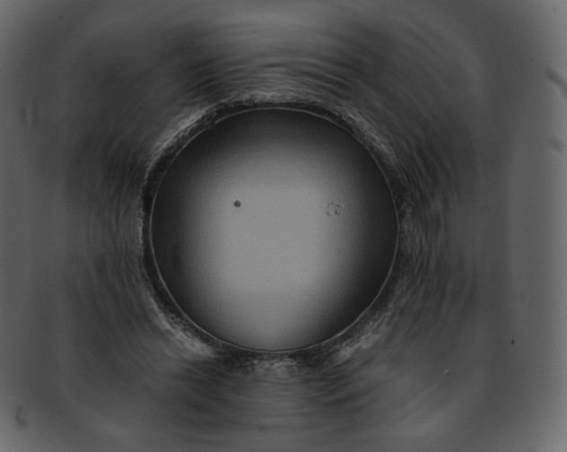 X0000092290446200710051205