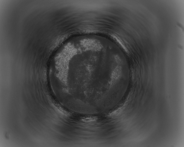 X0000092290447200710051205