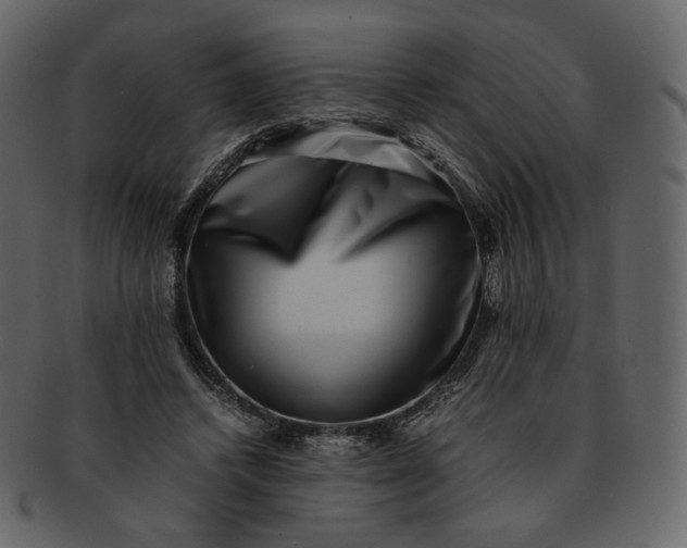 X0000092290448200710051205