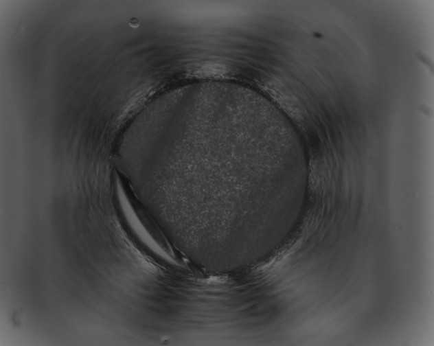 X0000092290449200710051205