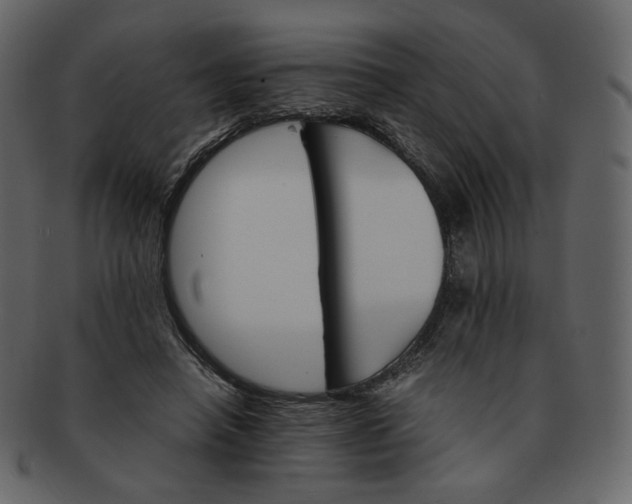 X0000092290450200710051205