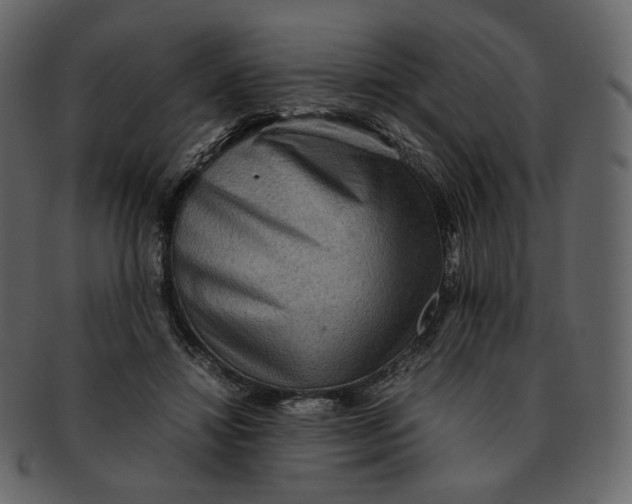 X0000092290452200710051205