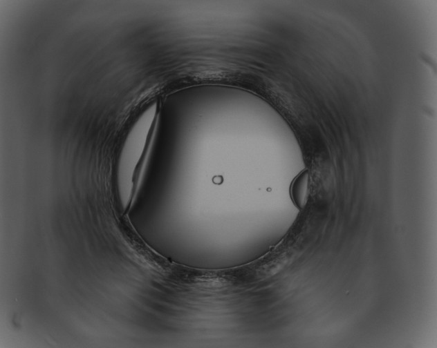 X0000092290454200710051205