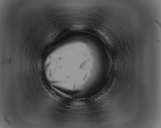 X0000092290455200710051205