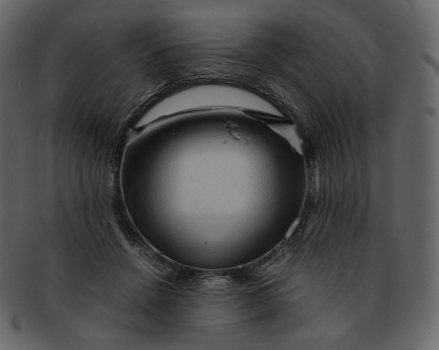 X0000092290456200710051205