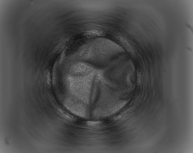 X0000092290457200710051205