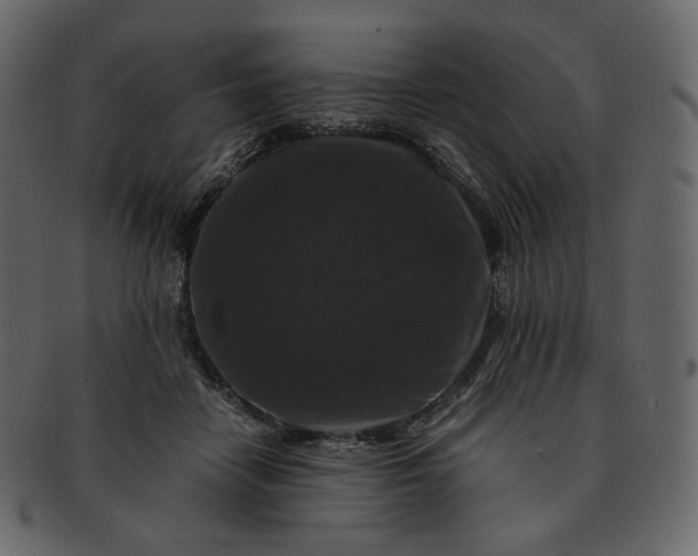 X0000092290458200710051205