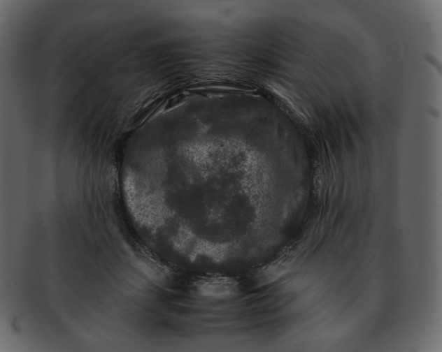 X0000092290459200710051205