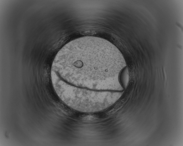 X0000092290460200710051205