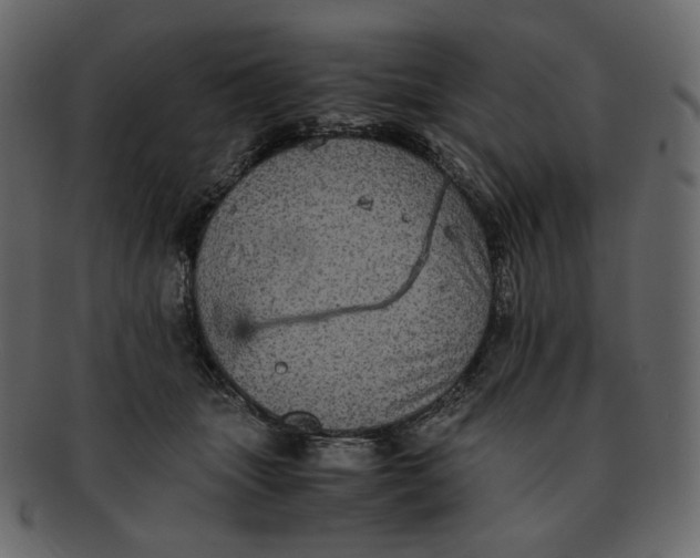 X0000092290463200710051205