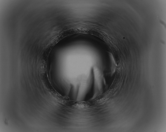 X0000092290464200710051205