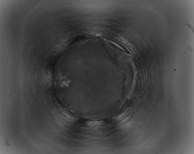 X0000092290465200710051205