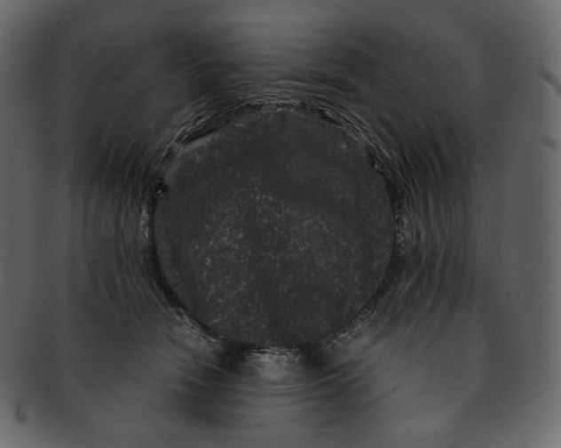 X0000092290466200710051205