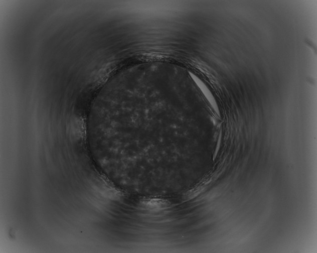 X0000092290467200710051205