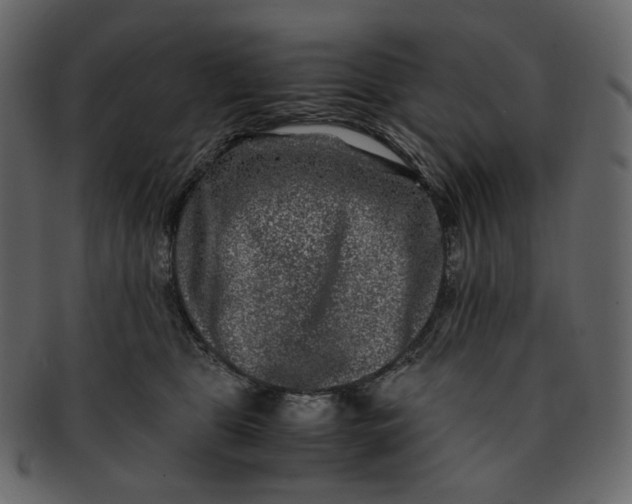 X0000092290469200710051205