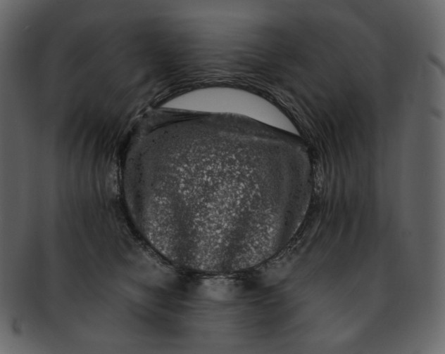 X0000092290470200710051205