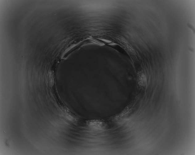 X0000092290471200710051205