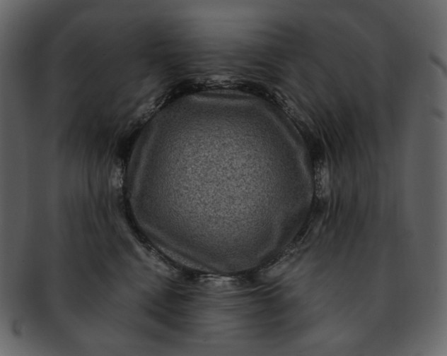 X0000092290472200710051205