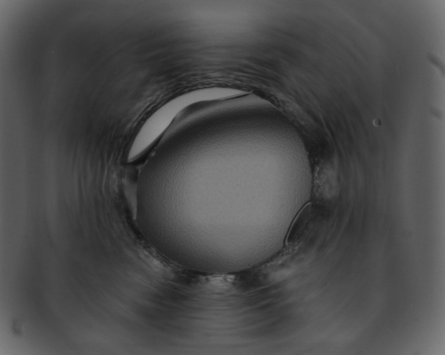 X0000092290474200710051205