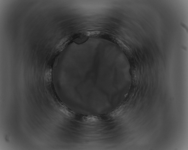 X0000092290475200710051205