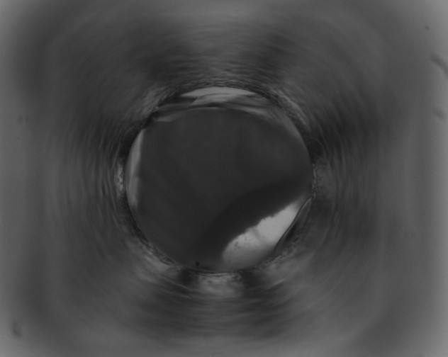 X0000092290479200710051205