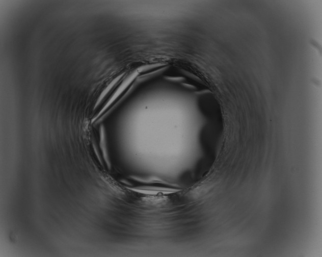 X0000092290480200710051205