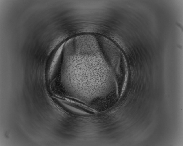 X0000092290482200710051204