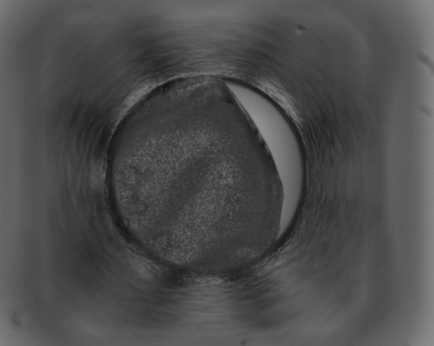 X0000092290483200710051204