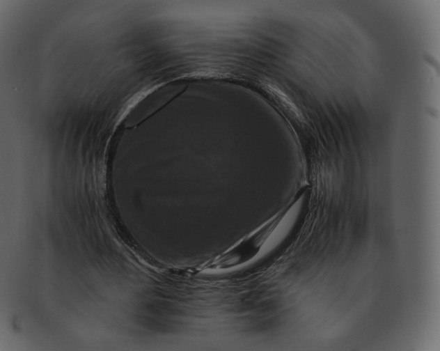 X0000092290484200710051204