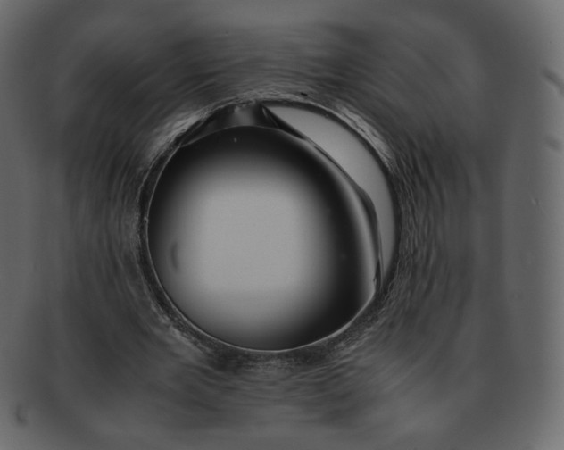 X0000092290485200710051204