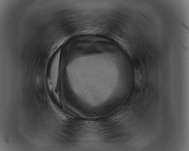 X0000092290486200710051204