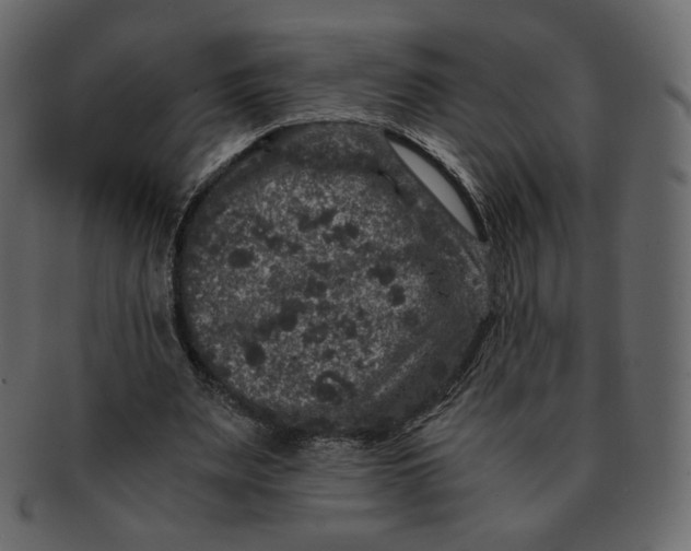 X0000092290487200710051204