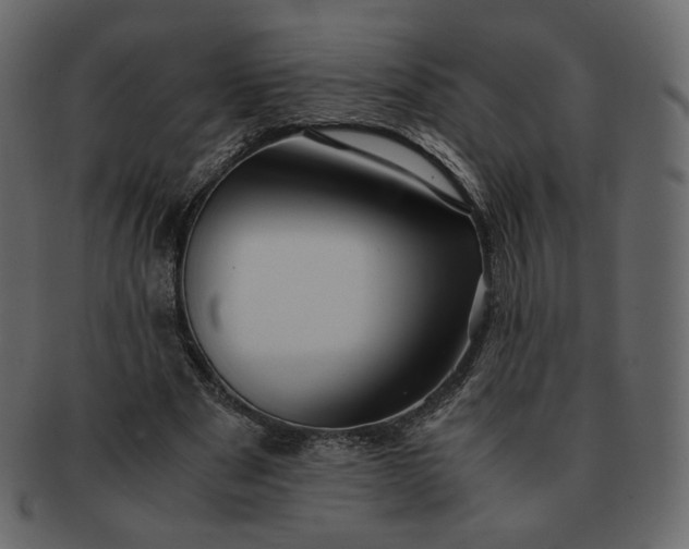 X0000092290489200710051204